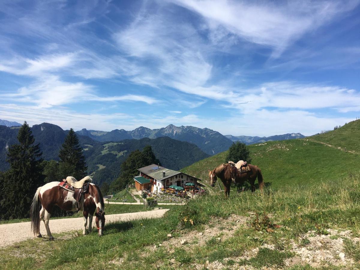 Villa Am Bach Унтервёссен Экстерьер фото