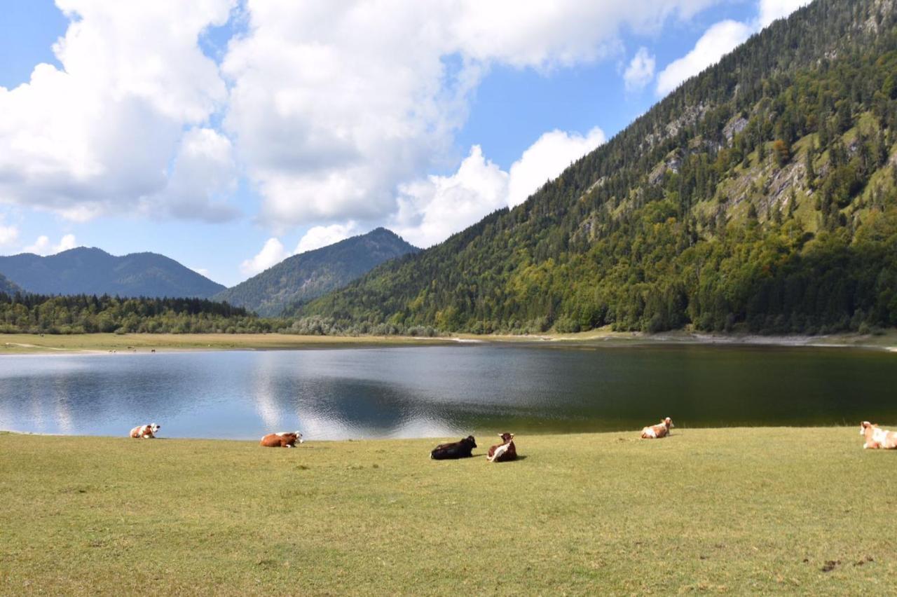 Villa Am Bach Унтервёссен Экстерьер фото